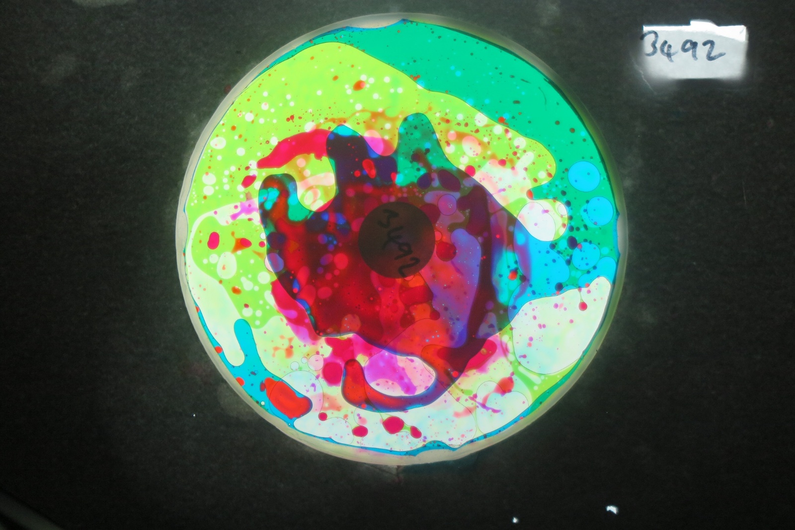 BV3492 bubble vision oil wheel